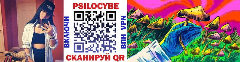 Псилоцибиновые грибы мицелий  купить наркоту  Голицыно 